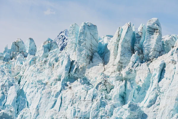 Margerie Buzulu — Stok fotoğraf
