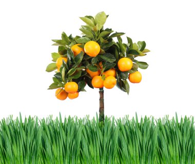 Grass and orange tree clipart