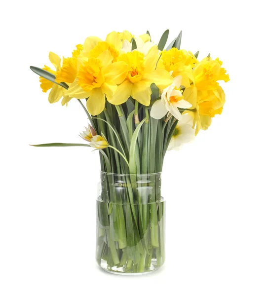 Narcissus flower bouquet — Stock Photo, Image