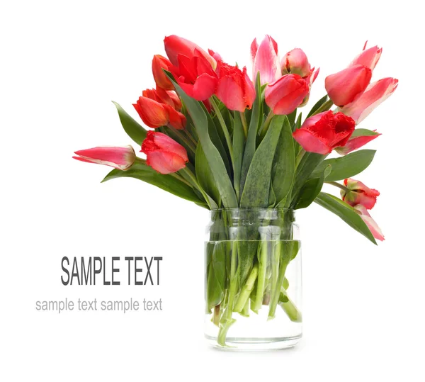 Bouquet of tulip flowers — Stock Photo, Image