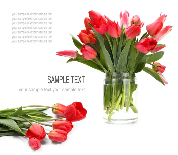 Bukiet kwiatów tulipanów — Zdjęcie stockowe