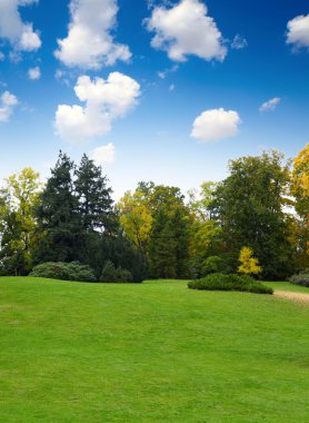 Park landscape clipart