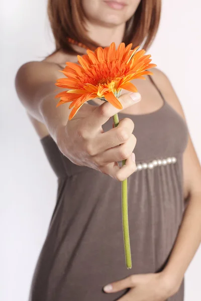 Девушка дарит цветок — стоковое фото