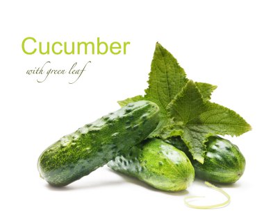 Fresh cucumbers with leaves clipart
