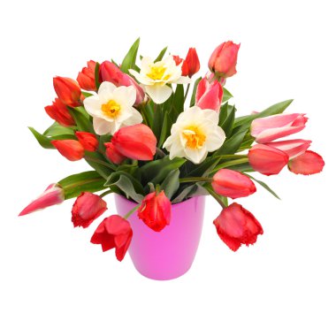 Bouquet of tulips and narcissus flowers