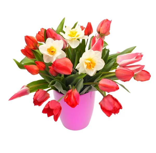 Buquê de tulipas e flores de narciso — Fotografia de Stock