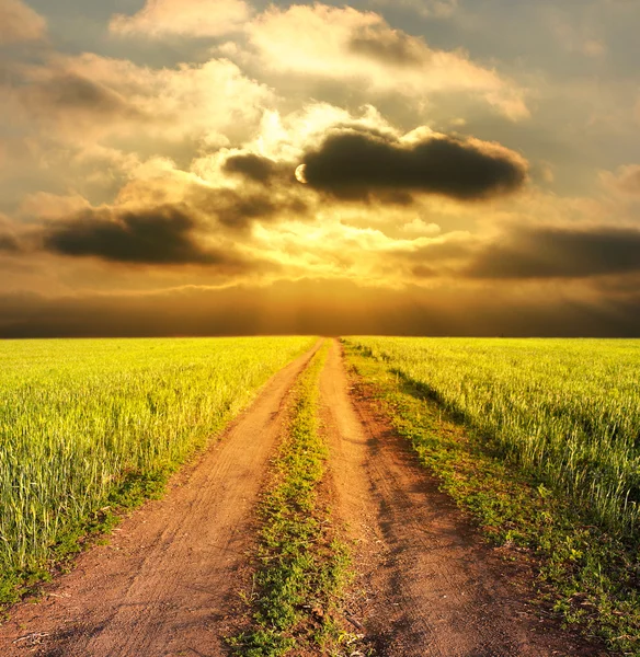 Evening rural landscape with a road — Stock Photo, Image