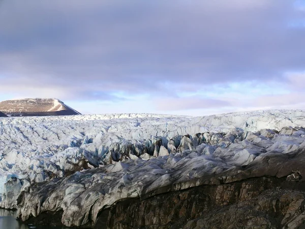 Grenouille glaciaire vêlée — Photo