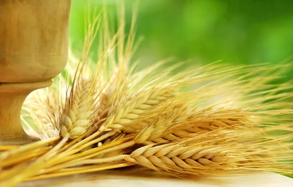 小麦的尖刺 — 图库照片