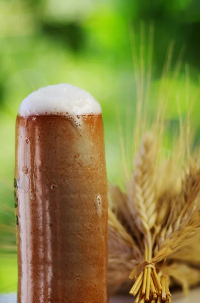 Cerveja e espigas de cereais — Fotografia de Stock
