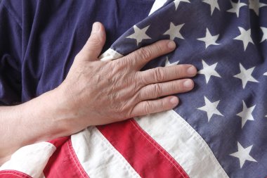 American flag with the hand of a veteran clipart