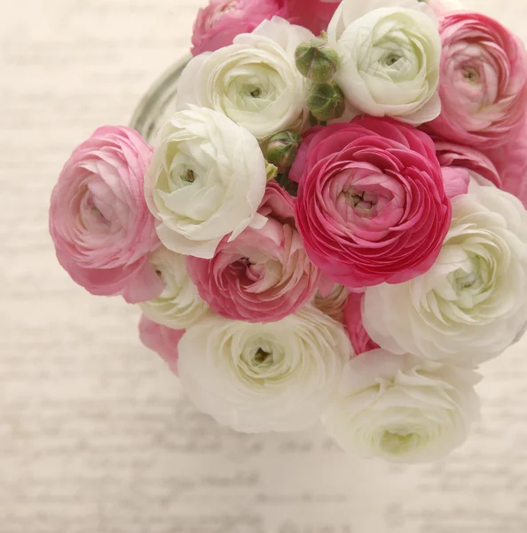 Pink and white ranunculus with script — Stock Photo, Image