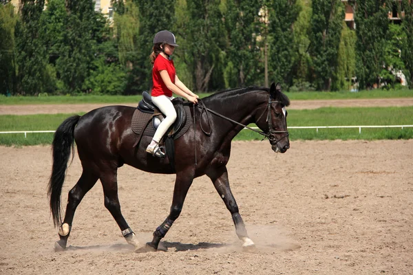 Sport equestre — Foto Stock