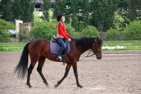 Desporto equestre — Fotografia de Stock