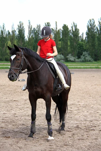 Equestrian sport — Stock Photo, Image