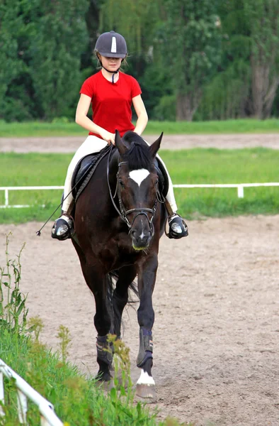 Sport equestre — Foto Stock