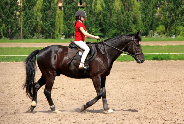 Desporto equestre — Fotografia de Stock