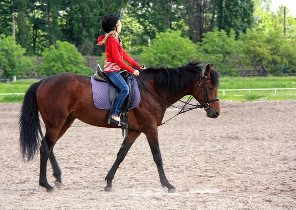 Equestrian sport Stock Image