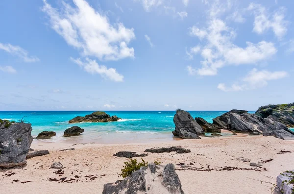 Horshoe Bay, Bermuda — Stockfoto