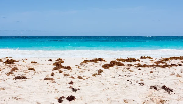 Playa tropical, océano y cielo — Foto de Stock