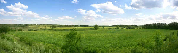Zomer Landschap Panorama — Stockfoto
