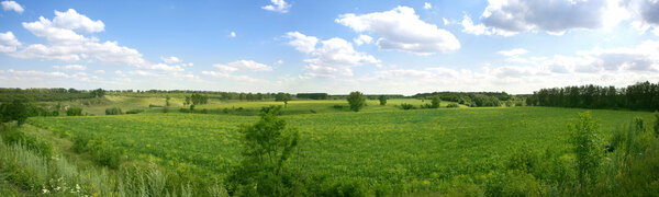 Clean summer landscape panorama