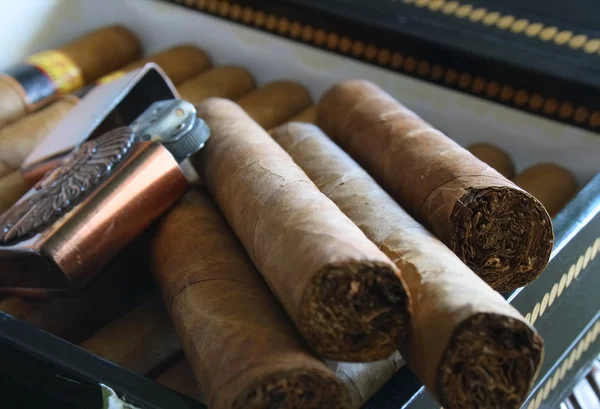 Zigarren und Feuerzeug — Stockfoto