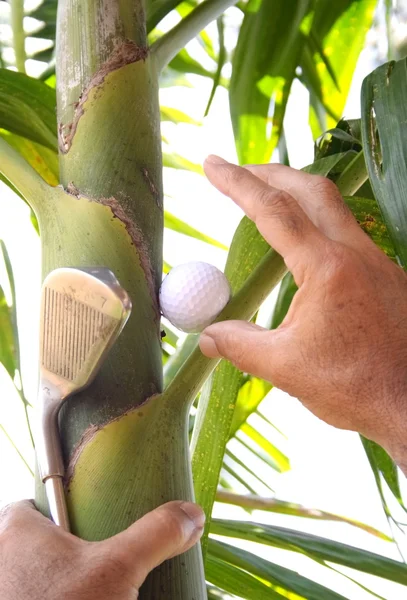 stock image Golfer climbing tree