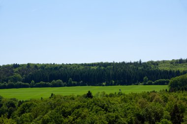 Eifel (Almanya manzara)