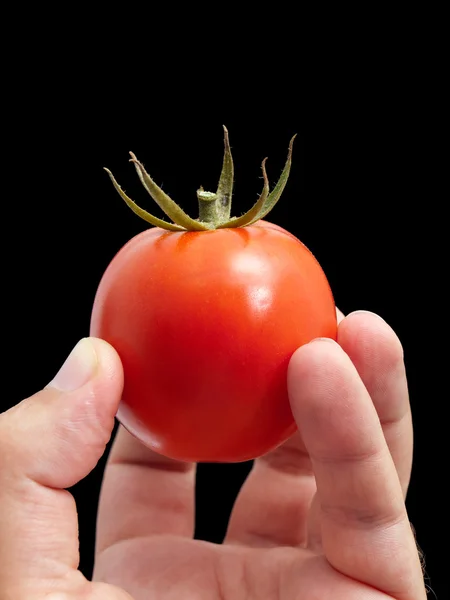Rijpe tomaat — Stockfoto