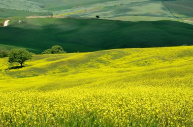 Val d'Orcia (Toskonya)