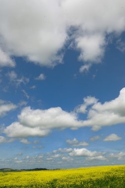 Val d'Orcia (Toskonya)