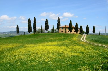 Val d'Orcia (Tuscany) clipart