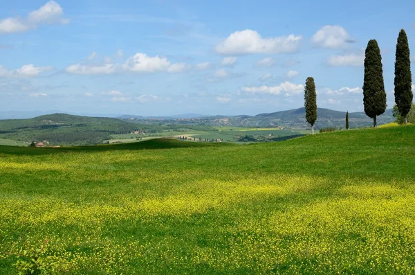 Val d'Orcia (Toscana) ) — Foto Stock