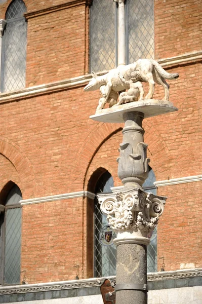 Lupo di Siena — Foto Stock