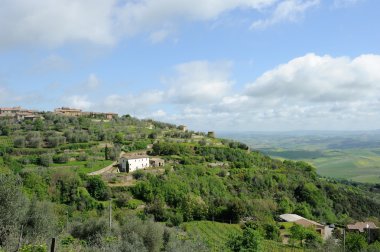 Montalcino (Toskonya)