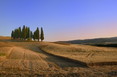 Girit Senesi Siena Toskana İtalya