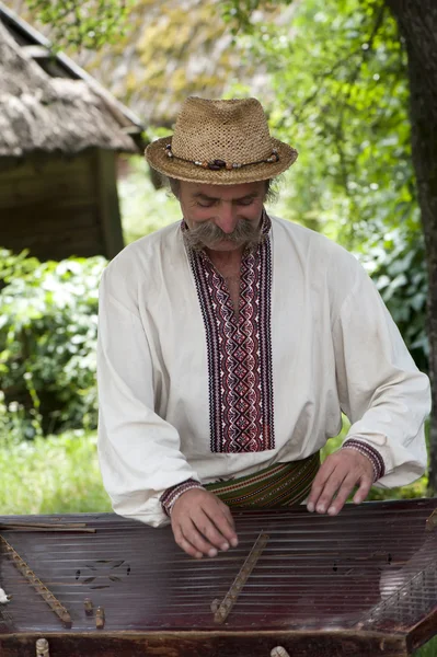 stock image A Ukrainian folk musician