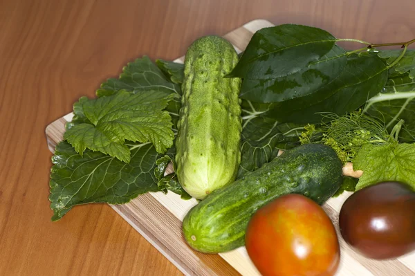 Légumes et légumes verts assaisonnement épices — Photo