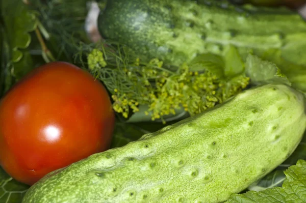 Grønnsaker og krydderier av grønnsaker – stockfoto