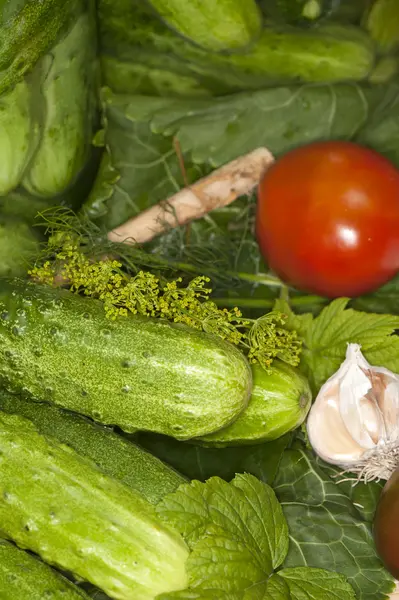 Овощи и зелень приправы специи — стоковое фото