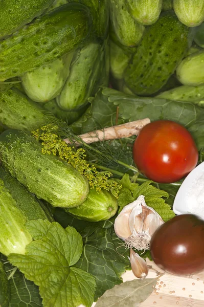 野菜と調味料スパイス緑 — ストック写真