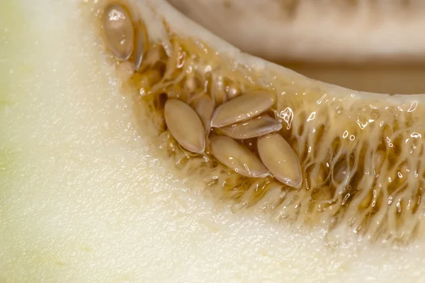 stock image Sweet ripe melon