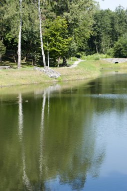 Park peyzaj