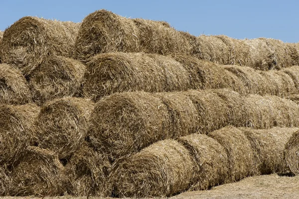 Background of straw Royalty Free Stock Photos