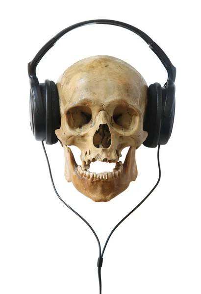 Stock image Human skull in earphones.