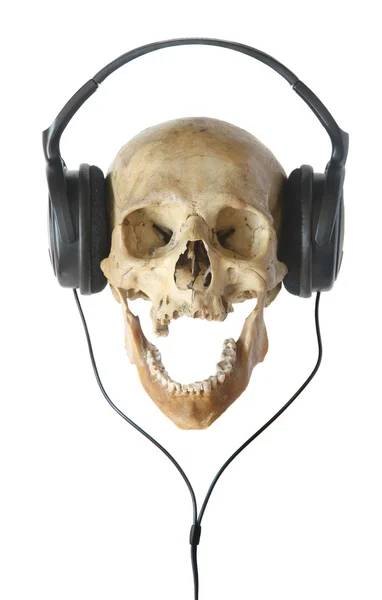 stock image Human skull in earphones.