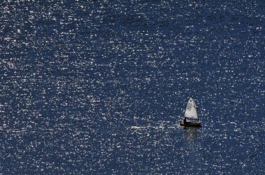 Optimist yelkenli