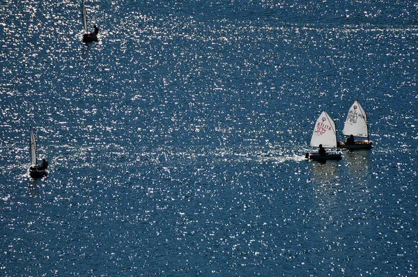 Optimist regatta — Stock Photo, Image