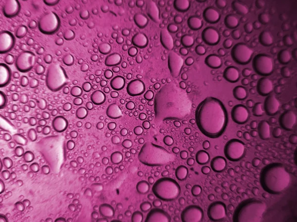 Stock image Pink Drops